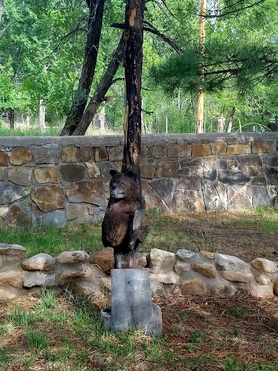 Smokey Bear Museum Gift Shop