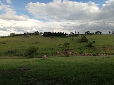 Photos of Rex's Ranch