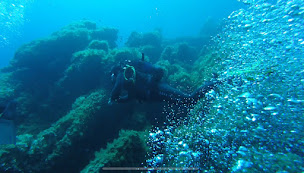 Photo n°36 de Plongée Porto Corse à PORTO (Club de plongée)