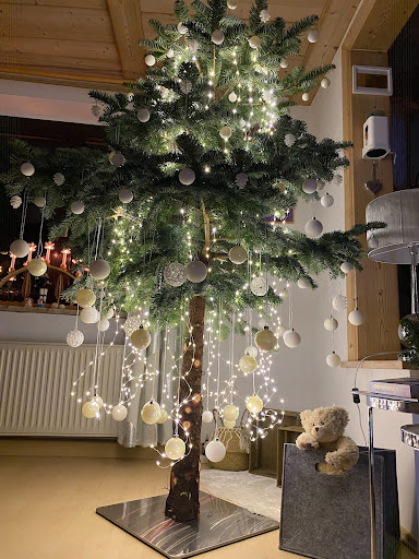 Andreas Meier Spanferkelservice & Weihnachtsbäume - Thumbnail