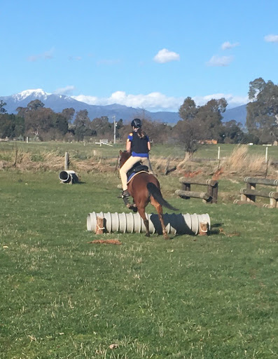 Mansfield Pony Club