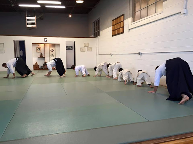 Huron Valley Aikikai - aikido in Ann Arbor, Michigan