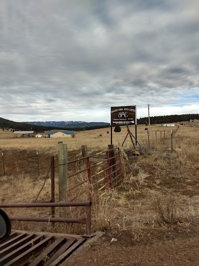 Brainard Animal Health Center