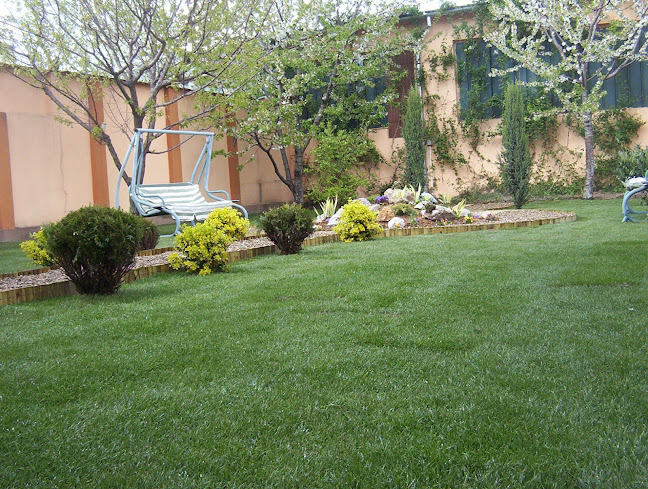 Salard,857, Sălard 417450