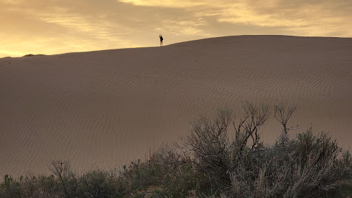 The Sand Dunes Recreational Area Gallery - United States