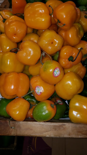 Jonys fruit - Visual