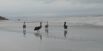Photos of Punta De San Clemente