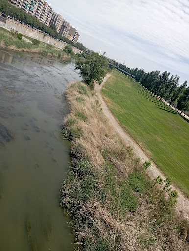Pont Vell - Visual