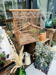 Photo n°15 de Léo Brock à Seignosse (Magasin de meubles d'occasion)