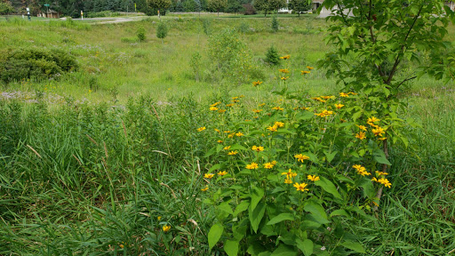 Bailey's Arboretum Preserve - Thumbnail