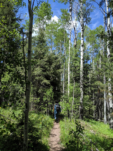 Devils Head Campground - Visual