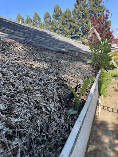 House Washers Gallery - United States