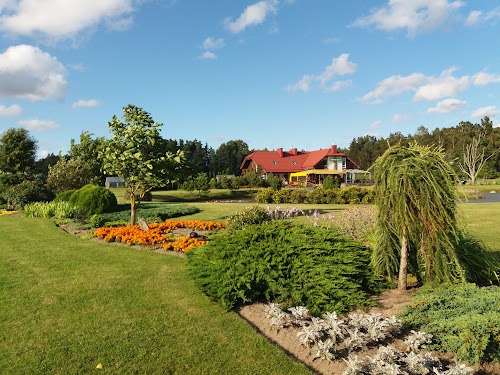 Tauragenu vienkiemis