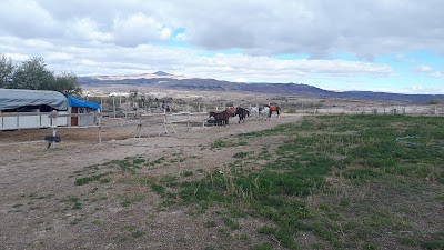 sirius horse riding & camping