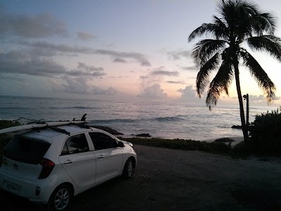 Photos of Zed's Surfing Adventures