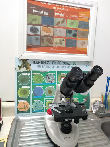 Veterinaria MEDICAN