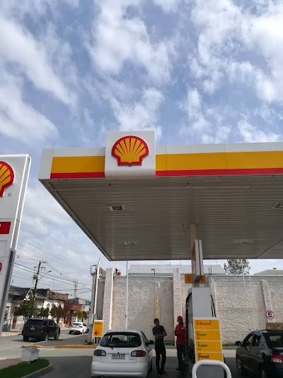 Photos of Shell Rengo