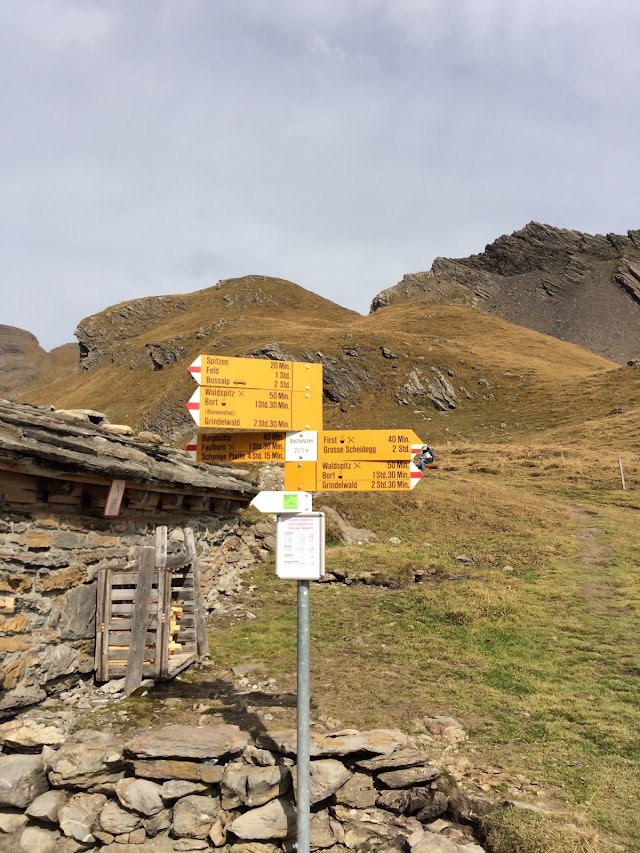 Lac de Bachalp