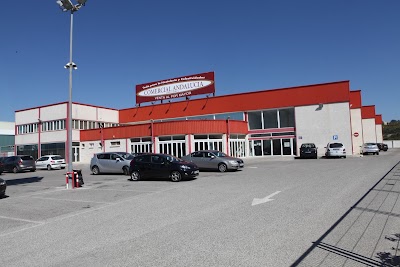 Photos of Commercial Andalucia. Cash & Carry. Gavira maximum S.A.
