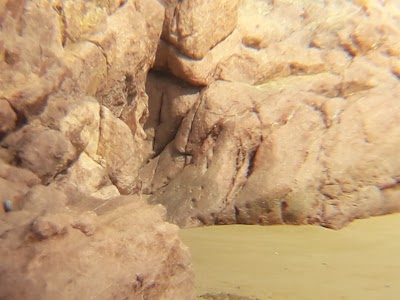 Photos of Roche Rouge