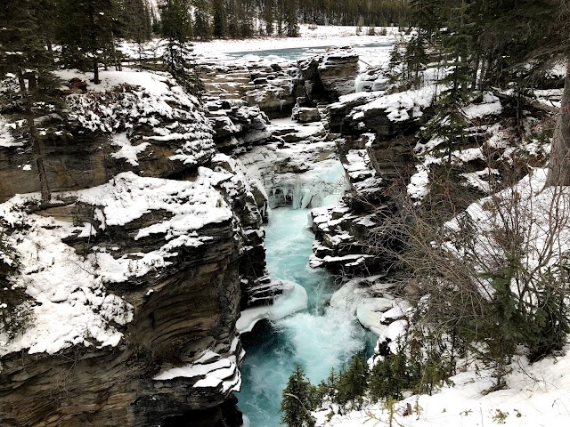 Athabasca Falls