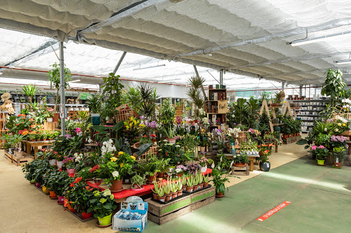 Photo de Jardinerie Derly Blagon à Lanton (33138)