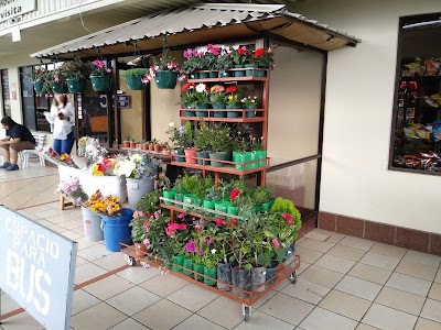 Photos of El Trailero