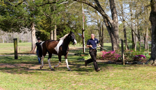 Garrison Equine Veterinary Care, LLC - Thumbnail