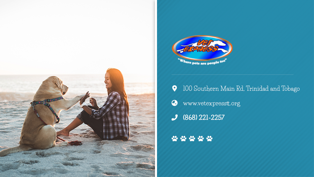 Vet Express Veterinary Clinic Animal Hospital in Claxton Bay