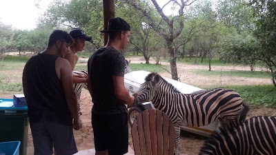 Photos of Big Tuskers Bushcamp
