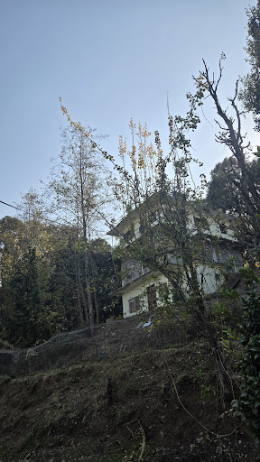 Gallery image 16