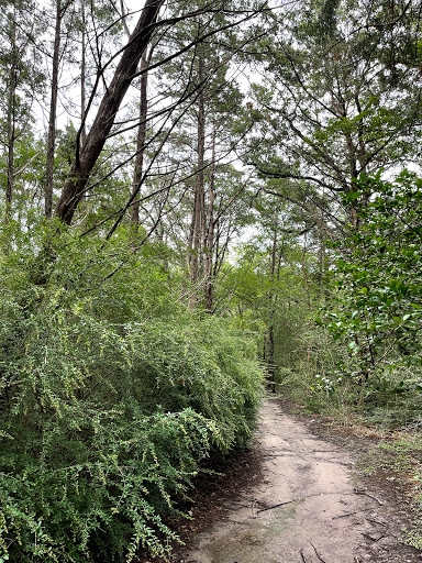 Billie Madeley Park - Thumbnail