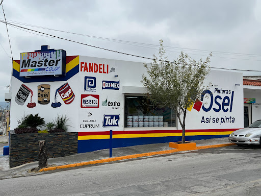 PINTURAS OSEL - MASTER COLOR