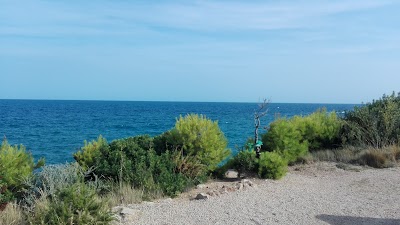 Photos of Apartamentos Sol Naixent