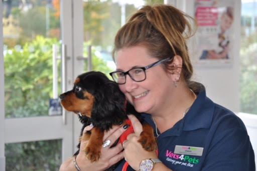 Vets4Pets - Larne - Thumbnail