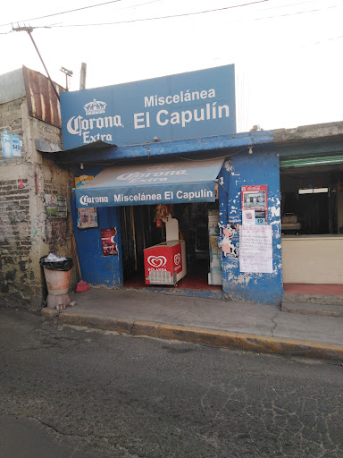 Miscelánea El Capulín - Thumbnail