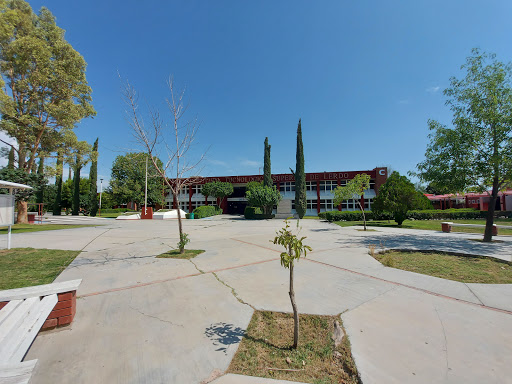 TecNM - Campus Lerdo - Visual