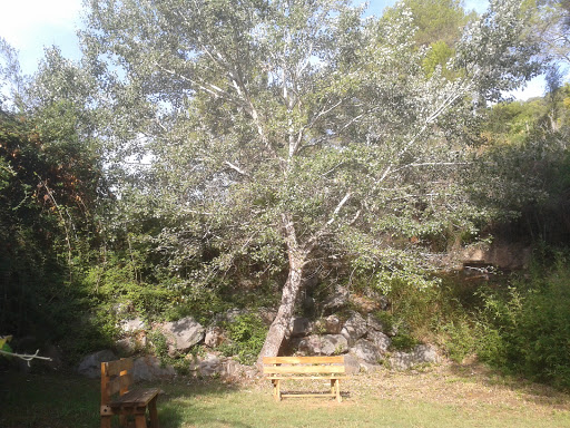 Parc de la Riera de Can Via - Thumbnail