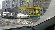 Фотография Подорожник, проспект Шахтёров, Новокузнецк, Россия