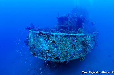 Photos of Galleon Divers