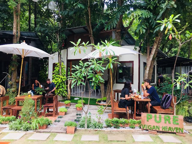 Pure Vegan Heaven Chiangmai