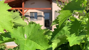 Photo n°8 de Vakantiewoningen Beauzonnette à Lablachère (Vignoble)