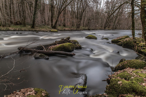Vue sur les îles de la Vézère - Thumbnail