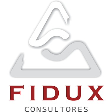 Fidux Consultores - Auditores, Author: Fidux Consultores - Auditores