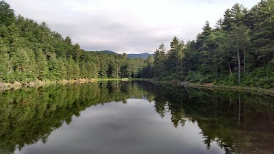 Braley Pond