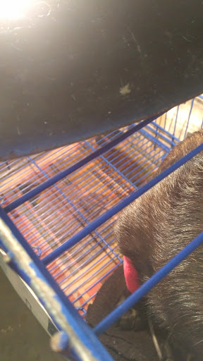 Veterinaria San Fernando - Thumbnail