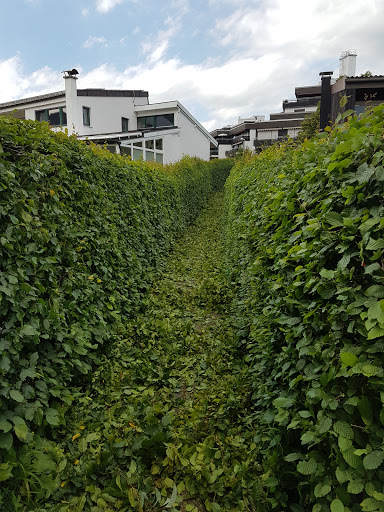 Mathis - Handwerk Baum & Garten - Thumbnail