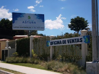 real-estate-agency