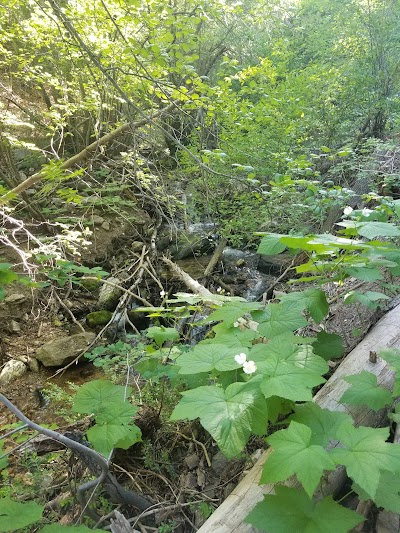 Deuel Creek South Trail Head