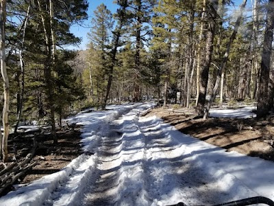 Bobcat Pass Wilderness Adventures